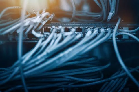 Ethernet cable connected to switch. Telecommunication concept. 库存照片