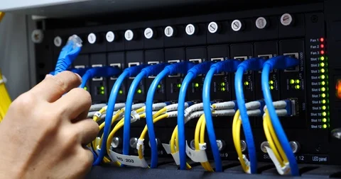 Ethernet Cables And  Network Stock Footage 116856815