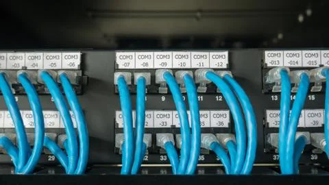 Ethernet cables and path panel in rack cabinet Stock Photos