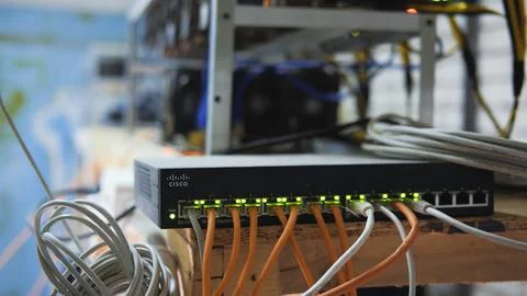 Ethernet cables are connected to a network switch, blinking green lights indi Stock Photos