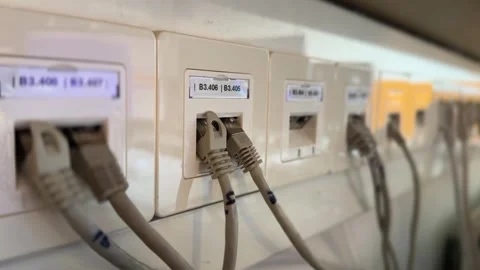 Ethernet cables plugged into office sockets Stock Footage 302914109