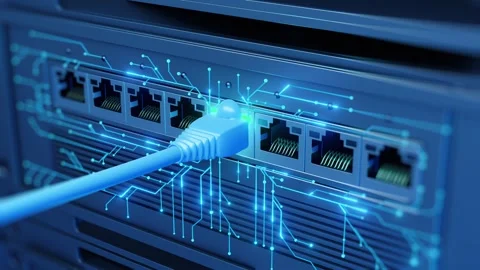 Ethernet LAN Cable Plugging Network Switch Digital Lines Growing Green LED Stock Footage 336117670