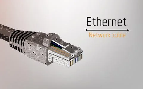 Ethernet network cable, socket type rj45, internet,100mbps and more, web Stock Illustration