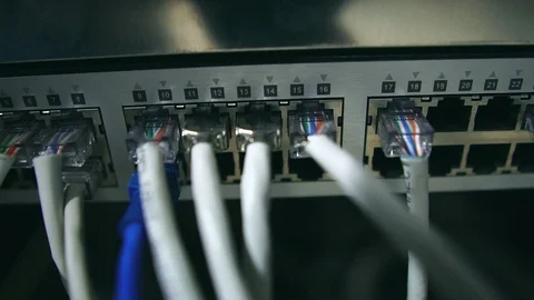 Ethernet switch. Close up. With cables, used and opened ports. Stock Footage 108764754