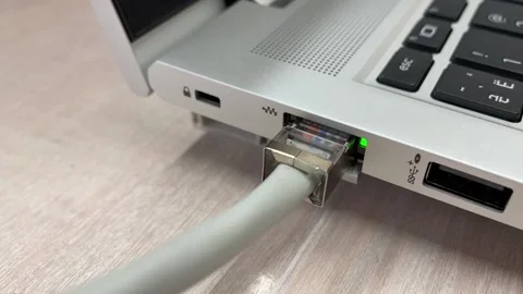 Ethernet telecommunications cables connected to a laptop Stock Footage 239155632