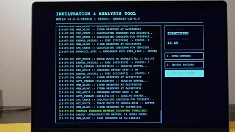 Ethical Hack Scans Networks with Pen Testing Tools Stock Footage 330439785