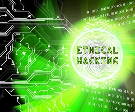 Ethical Hacking Data Breach Tracking 2d Illustration Stock Illustration