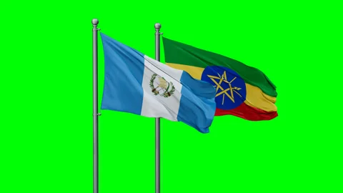 Ethiopia and Guatemala two flags Stock Footage 291853527
