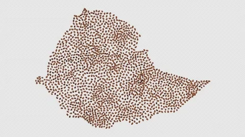 Ethiopia Coffee Beans Stock Footage 152663854