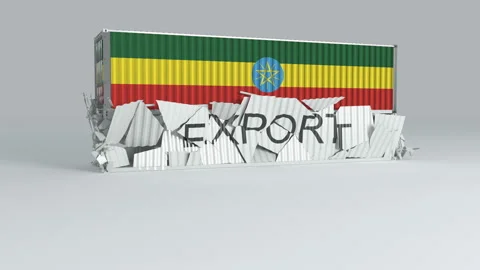 Ethiopia container with the flag falls on top of a container labeled EXPORT Stock Footage 124446607
