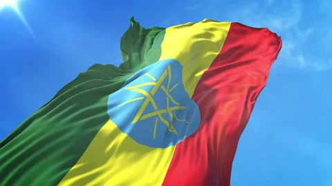 Ethiopia Flag Low Angle View Stock Footage 295689947