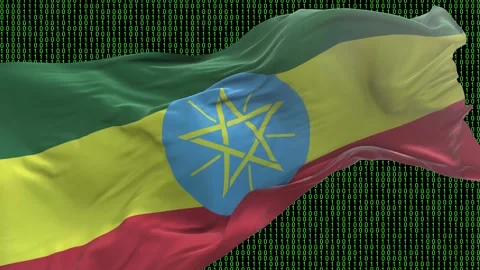 Ethiopia flag - Waving flag on matrix binary code background Stock Footage 321421135