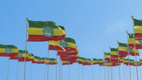 Ethiopia Row Of Flags 3D Animation Stock-Footage 148666447