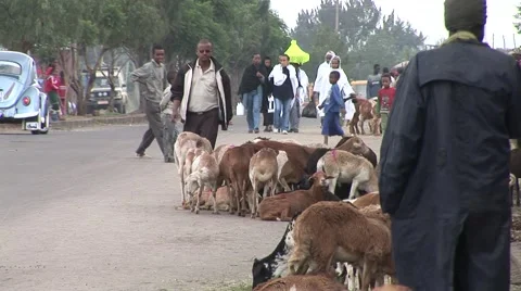 Ethiopian city scene 스톡 동영상 1046132