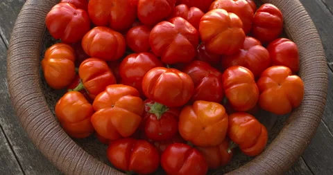 Ethiopian eggplants. Stock Footage 276964644