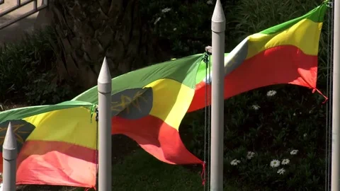 Ethiopian Flags Stock Footage 97722623