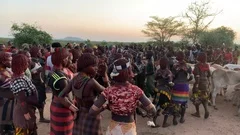 Children making a donga stick fighting i, Stock Video