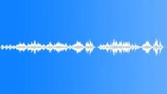 Ethnic Acoustic bandura solo Stock Music