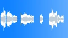 Ethnic ASIA 03 Balaban (x4)Stock Music