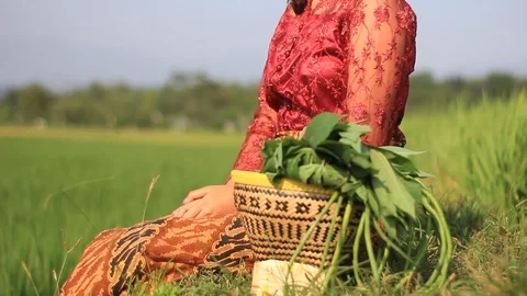 Ethnic Girl with Vegetable Stock Footage 113072299
