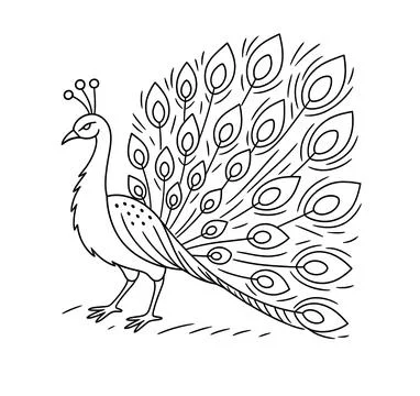 Ethnic Indian style peacock vector graphic ideal for tattoo art fashion prints t Stock Illustration