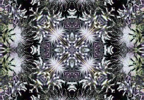 Ethnic pattern. abstract kaleidoscope 스톡 일러스트