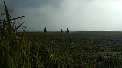 Ethnic Tengger Stock Footage 221989061