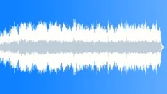 Ethnic violin version 2 - ambient sounding song with ethnic violin Stock Music