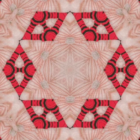 Ethnical design for carpet, rug, wrapping paper, fabric printing Stock Footage 275876542