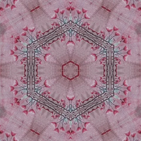 Ethnical design for carpet, rug, wrapping paper, fabric printing Stock Footage 275876544