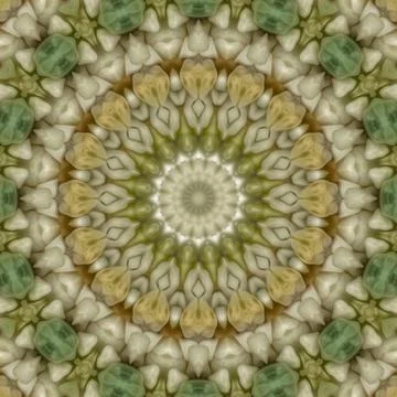 Ethnical mixed Embroidery design concept for printing 스톡 일러스트