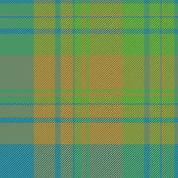 Ethnicity textile background pattern, punk seamless check fabric. Brand tar.. Stock Illustration