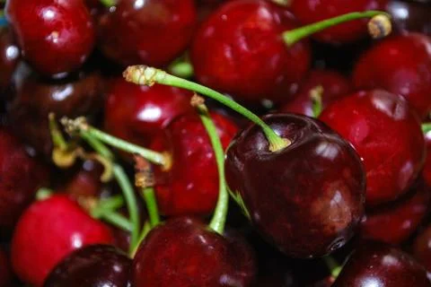 Etna cherries Stock Photos
