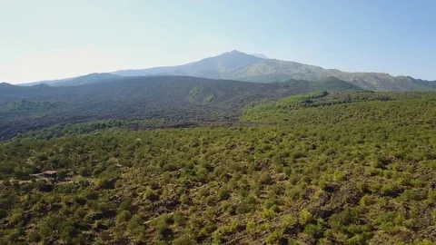 Etna Stock Footage 77327651