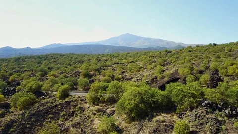 Etna Stock Footage 77454630