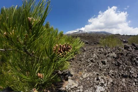 Etna Landscape Stock Photos