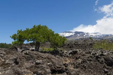 Etna Landscape Foto stock