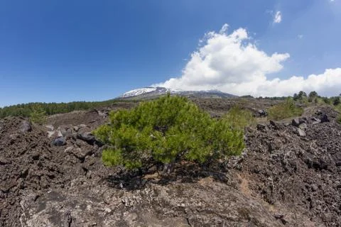 Etna Landscape 스톡 사진