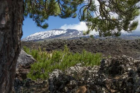 Etna Landscape view from tree Stock Photos