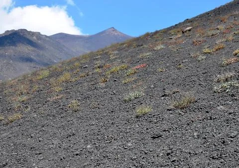 Etna Stock Photos
