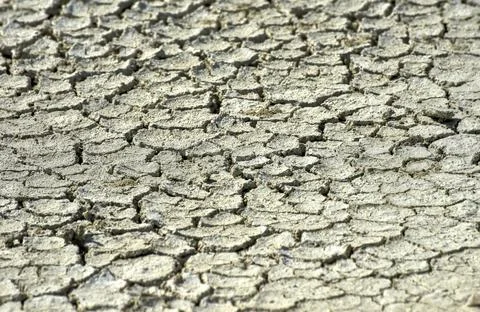 Etosha Salt Pan - Namibia Foto stock