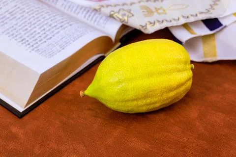 Etrog on Hebrew text. Yellow citron fruit placed on open religious book. Stock Photos