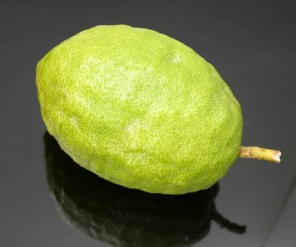 Etrog ritual fruit Stock Photos