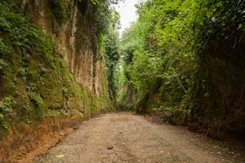 Etruscan Via Cava Foto stock