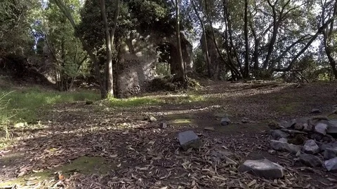 Etruscan ruins in the woods Stock Footage 71127342
