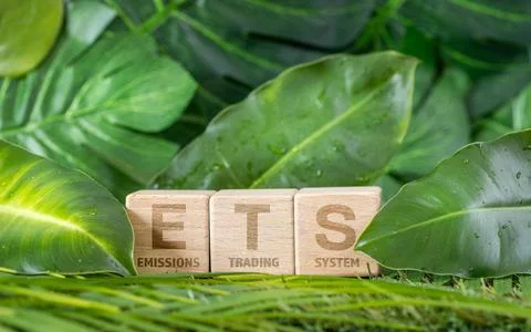 ETS Emissions Trading System acronym on wooden cubes with real green  Foto stock