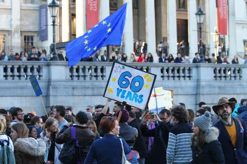 EU Brexit Protest in traflagar square london uk Stock Photos
