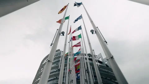 EU country flags waving in front of the European Parlement building in Video stock 314718801