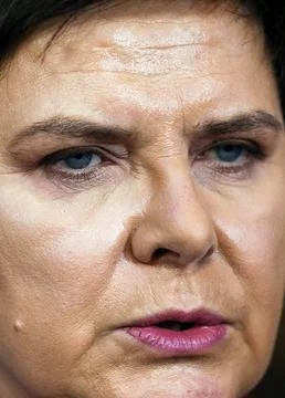 EU Eastern Partnership Summit, Brussels, Belgium - 24 Nov 2017 Fotos Stock