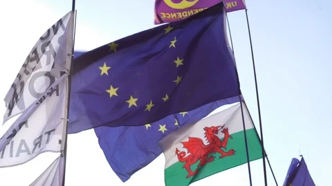 EU flag, UKIP flag - Westminster, London Stock Footage 105495504